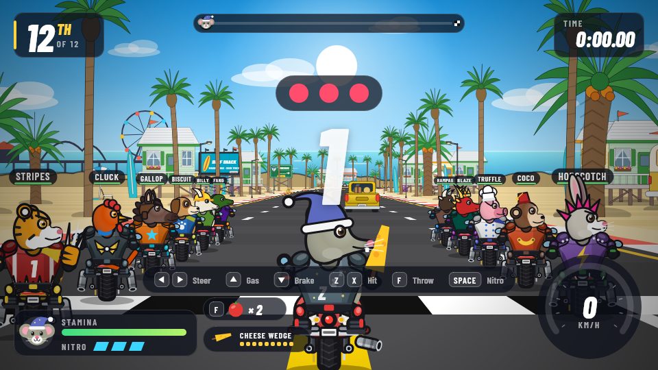 The race countdown with the controls shown